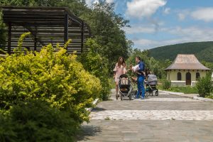 Fotografia de Botez-Botez Matei la Conacul Archia