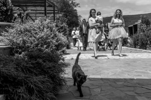 Fotografia de Botez-Botez Matei la Conacul Archia