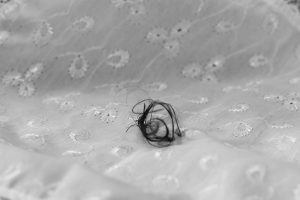 Fotografia de Botez-Miruna Andreea Hunedoara