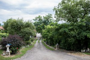 Fotografie de Botez-Botez Alexandru la Castelul Lupilor